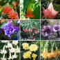 Datura Plants Herbs Flower Seeds Mixed 30 PCS Seeds