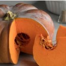 DeeplyRibbed Pumpkin 100 PCS Seeds