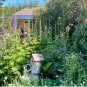 Delphinium Seeds Light Bright Blue Colors 120 PCS Seeds