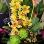 Dendrobium officinale Seeds (Flower Powder) Mixed Colors Flowers 1 PCS Seeds