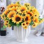 Different Flower Plant Bonsai Seedss Indoor Potted Seedsplants Exotic Suculenta 100 pcs Seeds