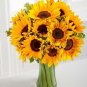 Different Flower Plant Bonsai Seedss Indoor Potted Seedsplants Exotic Suculenta 100 pcs Seeds