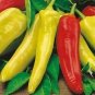 Discoloring Sharp Chili Hot Sichuan Pickled Pepper from White to Orange to Red 500 PCS Seeds