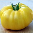Dixie Golden Giant Tomato Seeds Yellow Big Tomato Fruits 1000 PCS Seeds