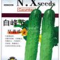 Dryland Cucumber 250 PCS Seeds