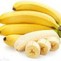Dwarf Banana Tree Seeds Hybrid Fruits 100 PCS Seeds