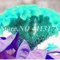 Dwarf Plumed Cockscomb Seeds Balcony Garden Annial Flowers 100 PCS Seeds