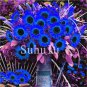 Dwarf Sunflower Seeds Blue Flowers 50 PCS Seeds