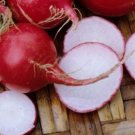Early Scarlet Radish Vegetables 50 PCS Seeds