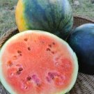 Early-maturing 'landmine' Round Red Organic Watermelon 8 PCS Seeds