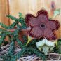 Edithcolea Grandis Succulent Carrion Flower 15 PCS Seeds
