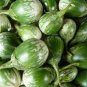 Eggplant Little Green Vegetable 60 PCS Seeds