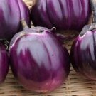 Eggplant Violet Colors with White Streaks Vegetable 10 PCS Seeds