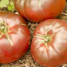 Eluosi' Cherokee Purple Giant Tomato 100 PCS Seeds