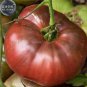 Eluosi' Cherokee Purple Giant Tomato 100 PCS Seeds