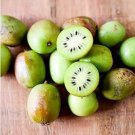 Exotic Fruits Hardy Kiwi Vine Fruit Delicious Fruits 30 PCS Seeds Exotic Fruits Hardy Kiwi Vine Fruit Delicious Fruits 30 PCS Seeds