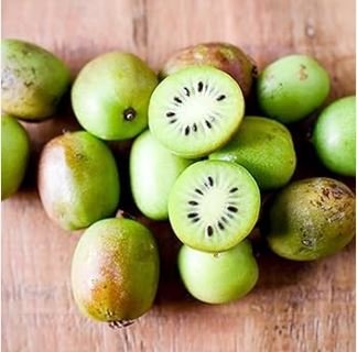 Exotic Fruits Hardy Kiwi Vine Fruit Delicious Fruits 30 PCS Seeds