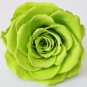 Exotic Rainbow Rose Plants Mixed Colors Rosa Planta Outdoor Seed Potted 100 PCS Seeds