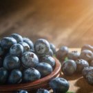 Feral Blueberry W High Nutritional Value 15 PCS Seeds