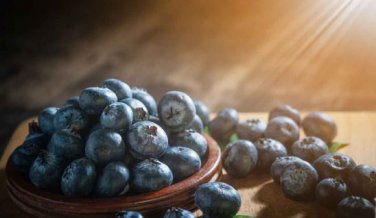Feral Blueberry W High Nutritional Value 15 PCS Seeds