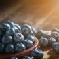 Feral Blueberry W High Nutritional Value 15 PCS Seeds