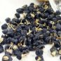 Feral Organic Black Goji Berry Herbs 200 PCS Seeds