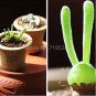 Fleshy bonsais Pitt Aura Bunnies Monilaria moniliformis 10 PCS Seeds