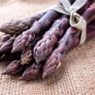 Four Seasons Purple Asparagus 50 PCS Seeds