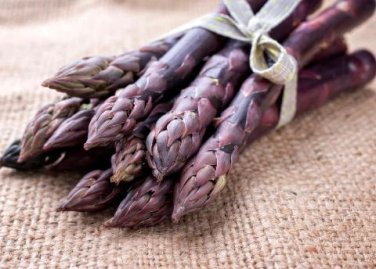 Four Seasons Purple Asparagus 50 PCS Seeds