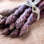 Four Seasons Purple Asparagus 50 PCS Seeds