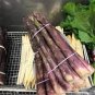 Four Seasons Purple Asparagus 50 PCS Seeds