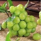 Fragrant Sweet Green Grape Organic 100 PCS Seeds