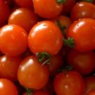 French Liz Red Long Tomato 300 PCS Seeds French Liz Red Long Tomato 300 PCS Seeds