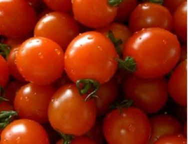 French Liz Red Long Tomato 300 PCS Seeds