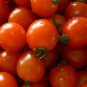 French Liz Red Long Tomato 300 PCS Seeds