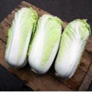 Fresh Chinese Baby Cabbage Vegetable 30 PCS Seeds