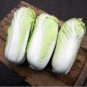 Fresh Chinese Baby Cabbage Vegetable 30 PCS Seeds