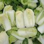 Fresh Chinese Baby Cabbage Vegetable 30 PCS Seeds