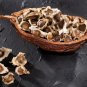 Fresh Edible Moringa Semillas 100 PCS Seeds