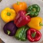 Fresh Mix Sweet Bell Pepper 20 PCS Seeds