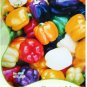 Fresh Mix Sweet Bell Pepper 20 PCS Seeds