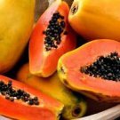 Fresh Organic Pawpaw Seeds Giant Red Lady Exotic Carica Papaya 8 PCS Seeds Fresh Organic Pawpaw Seeds Giant Red Lady Exotic Carica Papaya 8 PCS Seeds