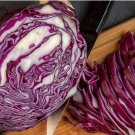 Genuine Heirloom Red Acre Cabbage 10 PCS Seeds