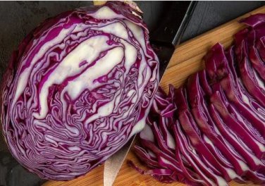 Genuine Heirloom Red Acre Cabbage 10 PCS Seeds