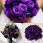 Geranium Mixed Rose 30 PCS Seeds