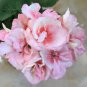 Geranium Peach Pink Light Color Ball-types Bonsai Flowers 10 PCS Seeds