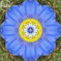 Giant Dark Blue & Light Blue Flax Linum Usitatissimum 100 PCS Seeds