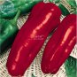 Giant Pepper Seeds Giant Marconi Hybrid Sweet Pepper 100 PCS Seeds