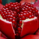 Giant Pomegranate 20 PCS Seeds