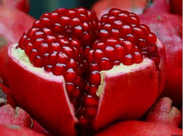 Giant Pomegranate 20 PCS Seeds